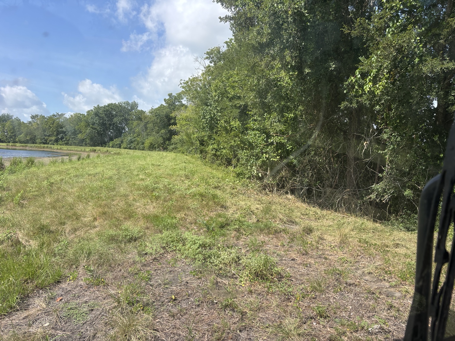 Cleared property beside pond